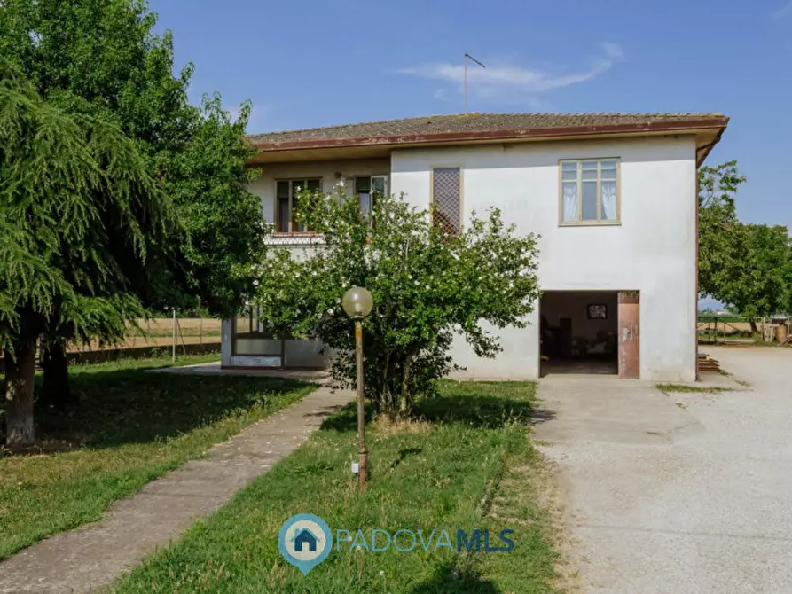 Immagine 7 di Casa indipendente in vendita  in VIA SP96,37 a Candiana