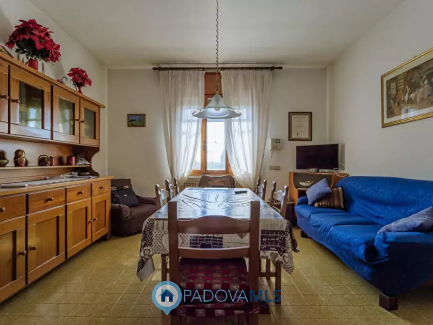 Immagine 15 di Casa indipendente in vendita  in VIA SP96,37 a Candiana
