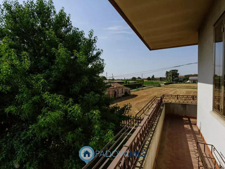 Immagine 18 di Casa indipendente in vendita  in VIA SP96,37 a Candiana