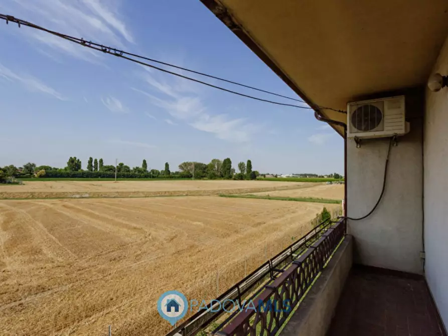 Immagine 19 di Casa indipendente in vendita  in VIA SP96,37 a Candiana