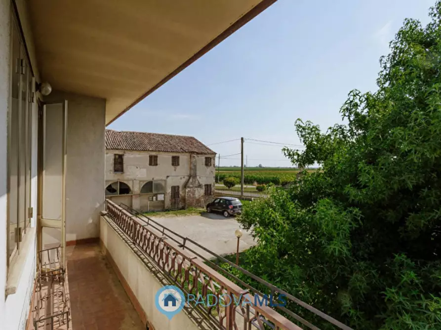 Immagine 21 di Casa indipendente in vendita  in VIA SP96,37 a Candiana