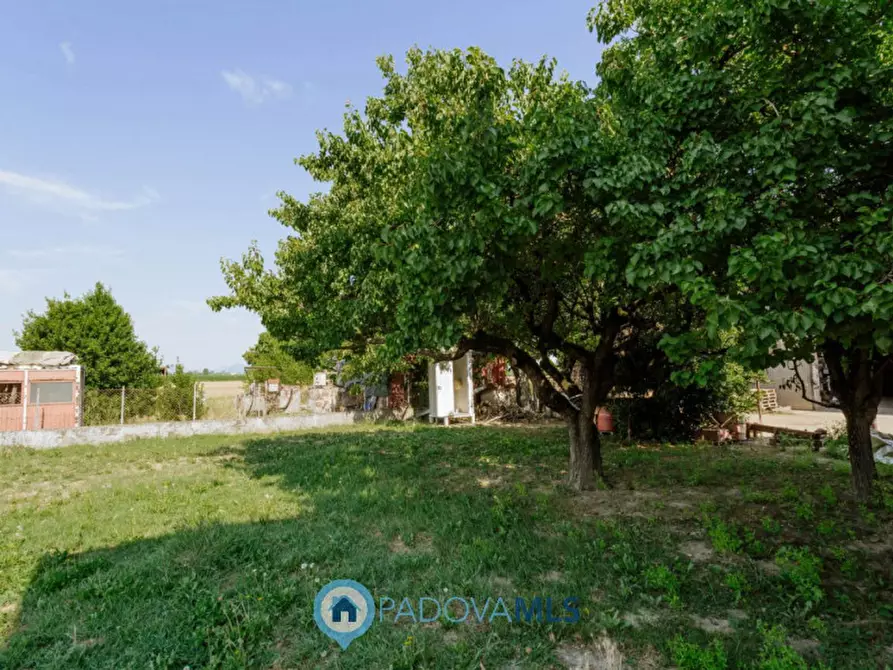 Immagine 37 di Casa indipendente in vendita  in VIA SP96,37 a Candiana