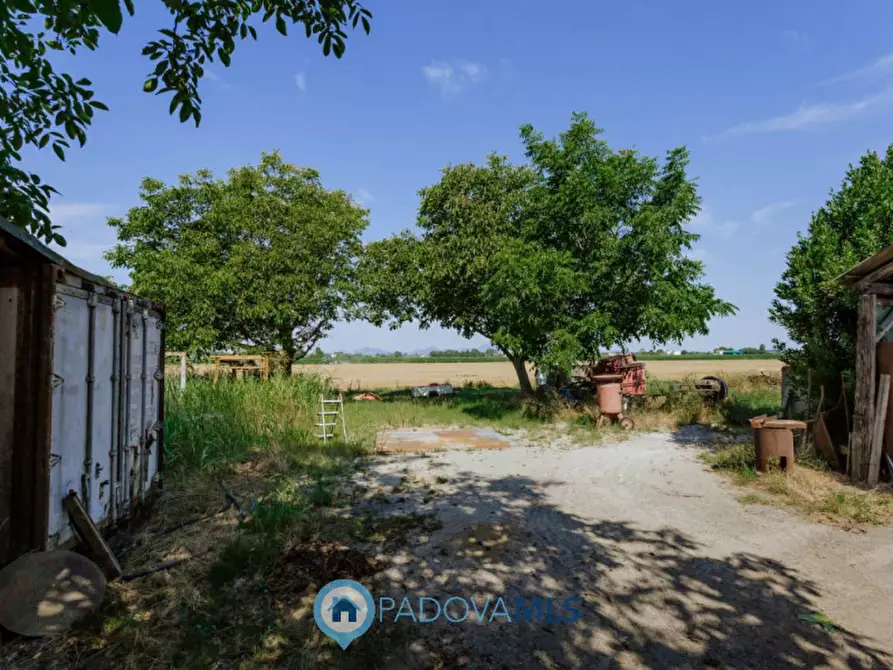 Immagine 38 di Casa indipendente in vendita  in VIA SP96,37 a Candiana