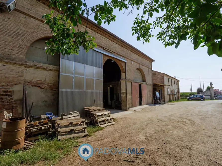 Immagine 39 di Casa indipendente in vendita  in VIA SP96,37 a Candiana