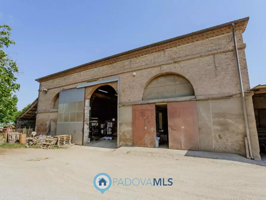 Immagine 40 di Casa indipendente in vendita  in VIA SP96,37 a Candiana