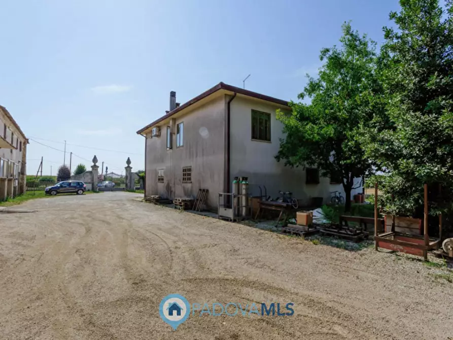 Immagine 42 di Casa indipendente in vendita  in VIA SP96,37 a Candiana