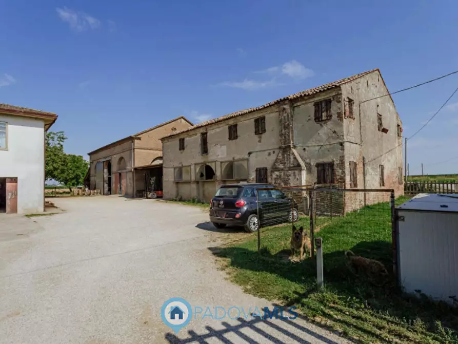 Immagine 43 di Casa indipendente in vendita  in VIA SP96,37 a Candiana