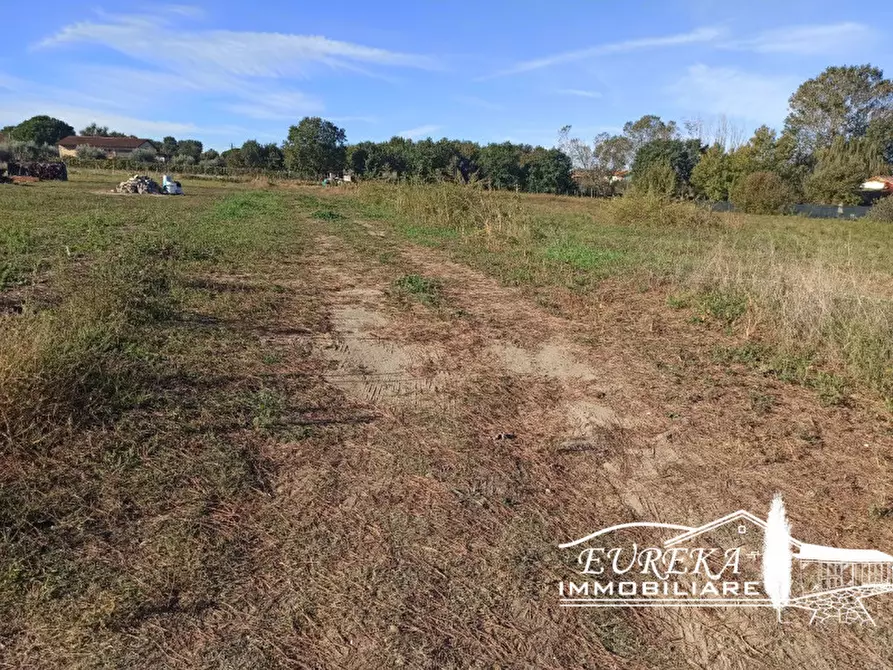 Immagine 2 di Terreno in vendita  in Vitellino a Castiglione Del Lago