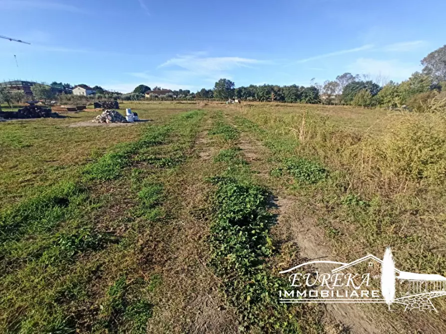 Immagine 3 di Terreno in vendita  in Vitellino a Castiglione Del Lago