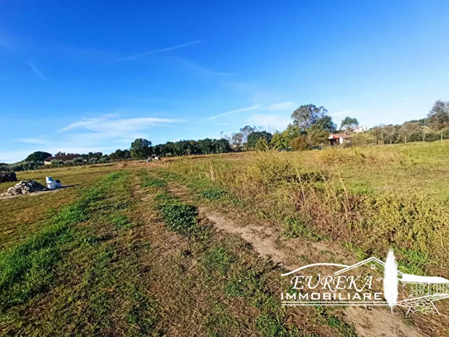 Immagine 4 di Terreno in vendita  in Vitellino a Castiglione Del Lago