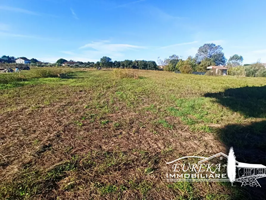 Immagine 5 di Terreno in vendita  in Vitellino a Castiglione Del Lago