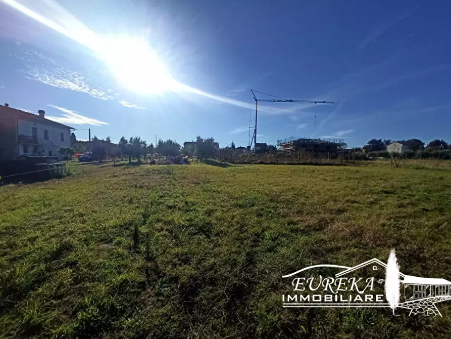 Immagine 6 di Terreno in vendita  in Vitellino a Castiglione Del Lago