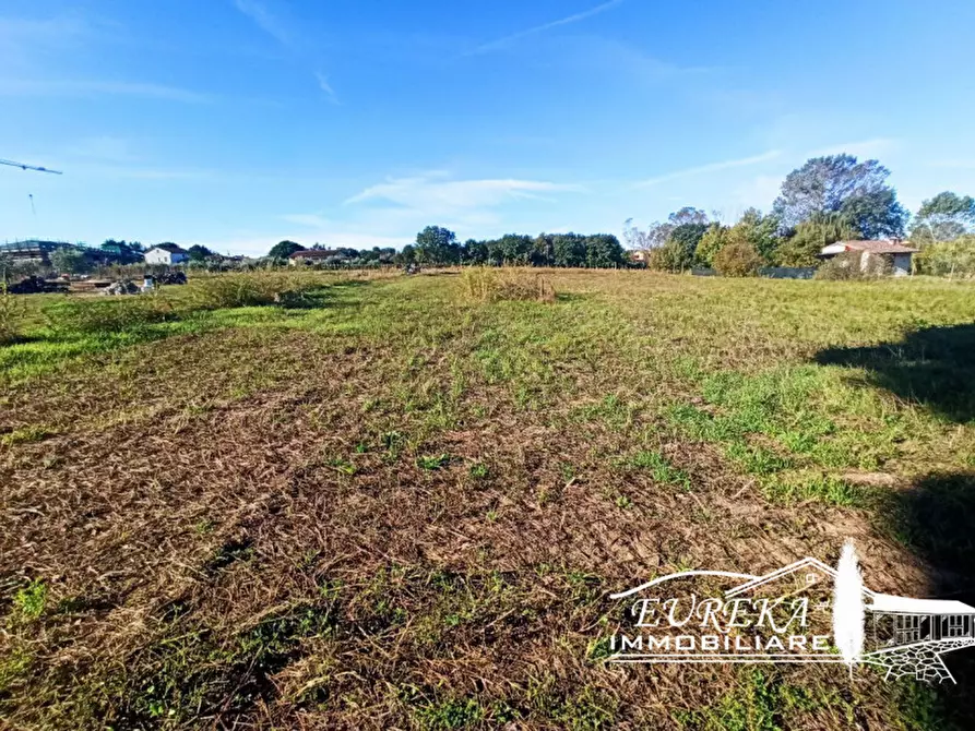Immagine 7 di Terreno in vendita  in Vitellino a Castiglione Del Lago