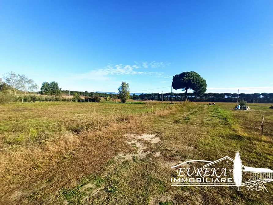 Immagine 8 di Terreno in vendita  in Vitellino a Castiglione Del Lago