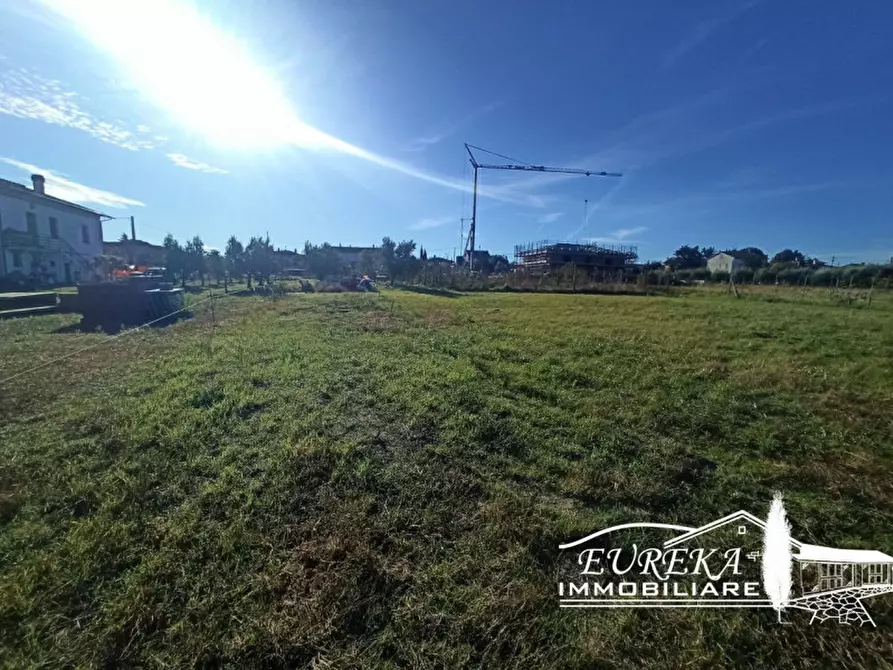 Immagine 9 di Terreno in vendita  in Vitellino a Castiglione Del Lago