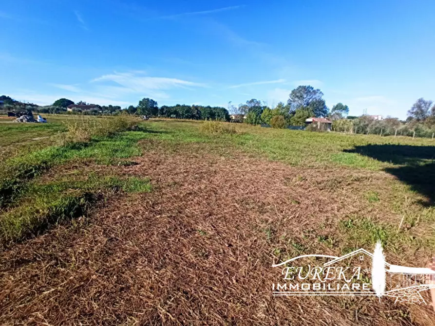 Immagine 10 di Terreno in vendita  in Vitellino a Castiglione Del Lago