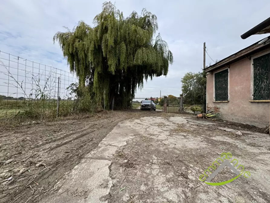 Immagine 3 di Casa indipendente in vendita  in via cavaizza a Codevigo