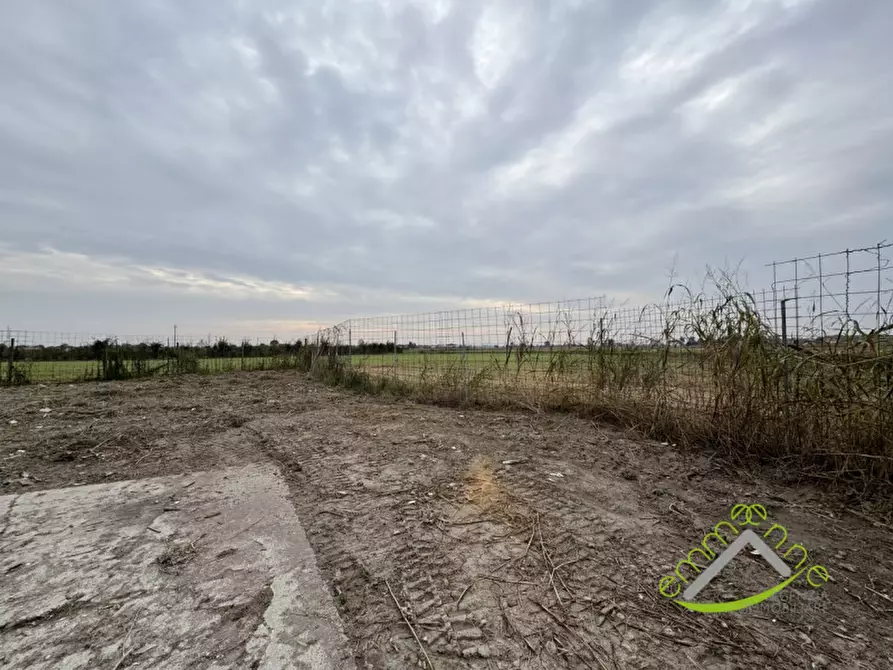 Immagine 4 di Casa indipendente in vendita  in via cavaizza a Codevigo