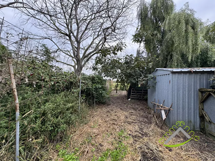 Immagine 10 di Casa indipendente in vendita  in via cavaizza a Codevigo