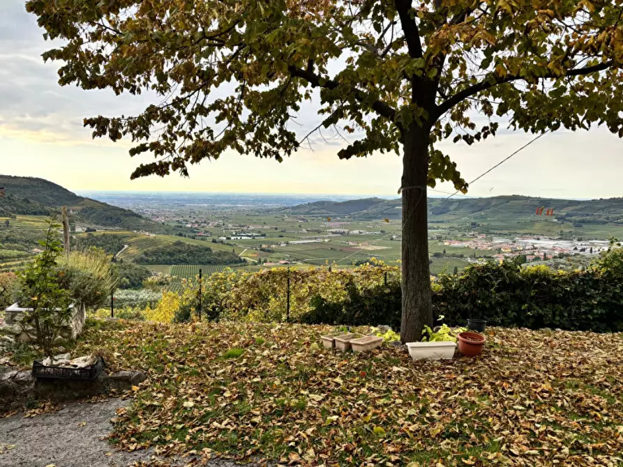 Immagine 7 di Rustico / casale in vendita  in Via Saline a Tregnago