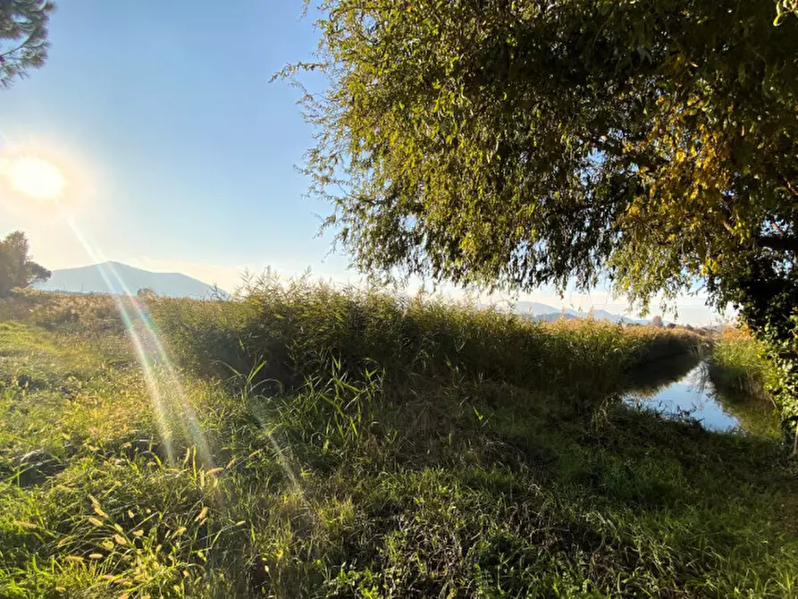 Immagine 2 di Terreno in vendita  in Via Palù Inferiore a Pernumia