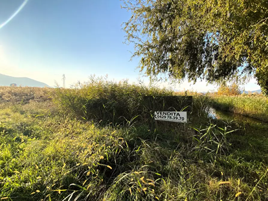 Immagine 5 di Terreno in vendita  in Via Palù Inferiore a Pernumia
