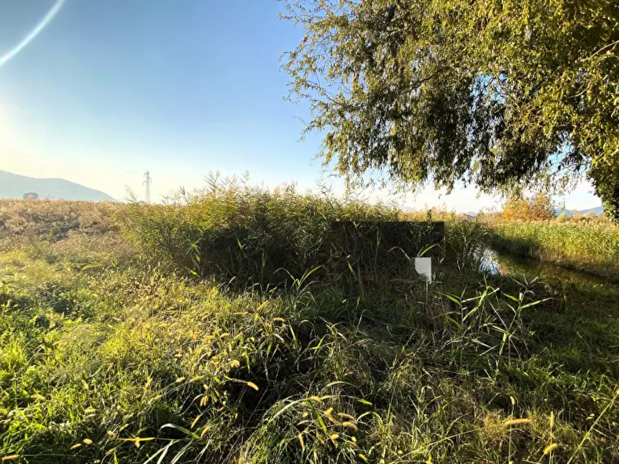 Immagine 5 di Terreno in vendita  in Via Palù Inferiore a Pernumia