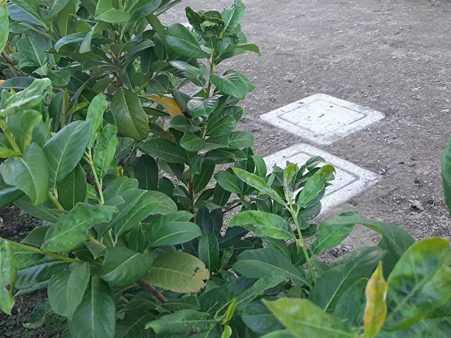 Immagine 2 di Appartamento in vendita  in Via F. Lori a Padova