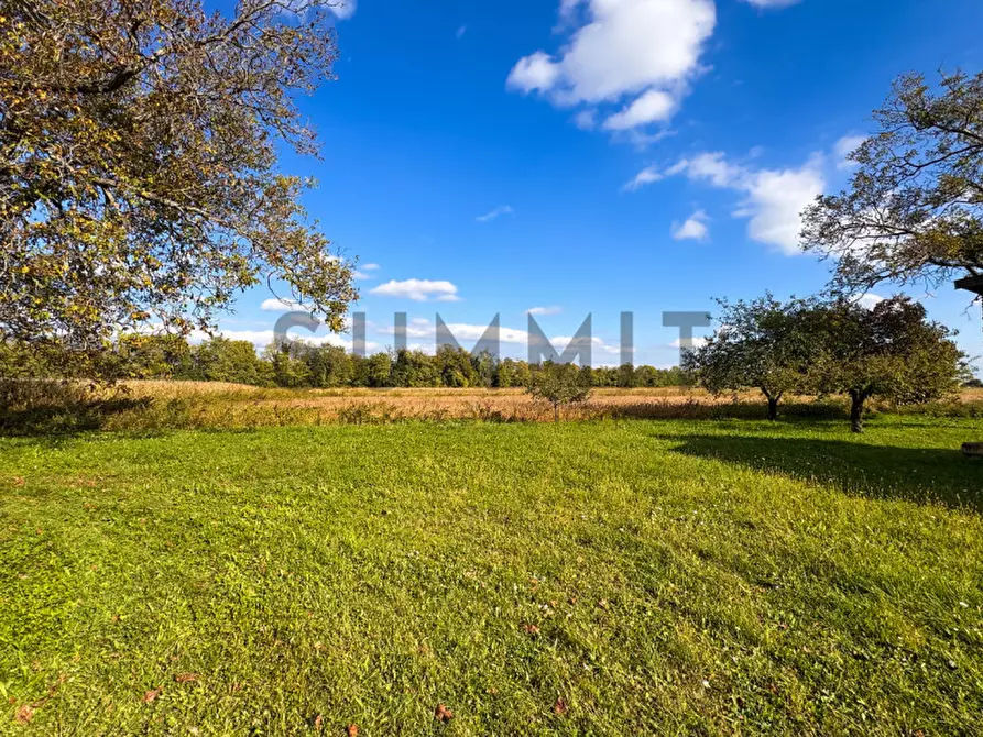 Immagine 9 di Rustico / casale in vendita  in Via Soran a Malo
