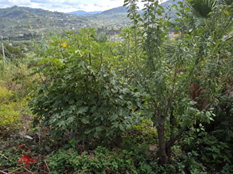 Immagine 31 di Appartamento in vendita  in Via Stefano Cattafi,11 a Santa Lucia Del Mela