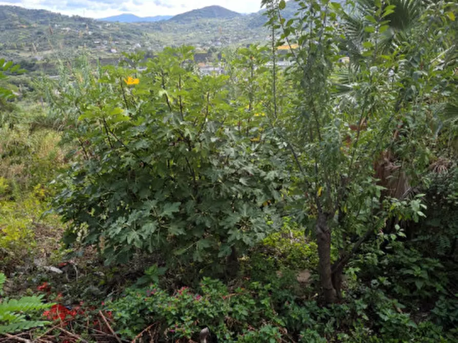 Immagine 32 di Appartamento in vendita  in Via Stefano Cattafi,11 a Santa Lucia Del Mela