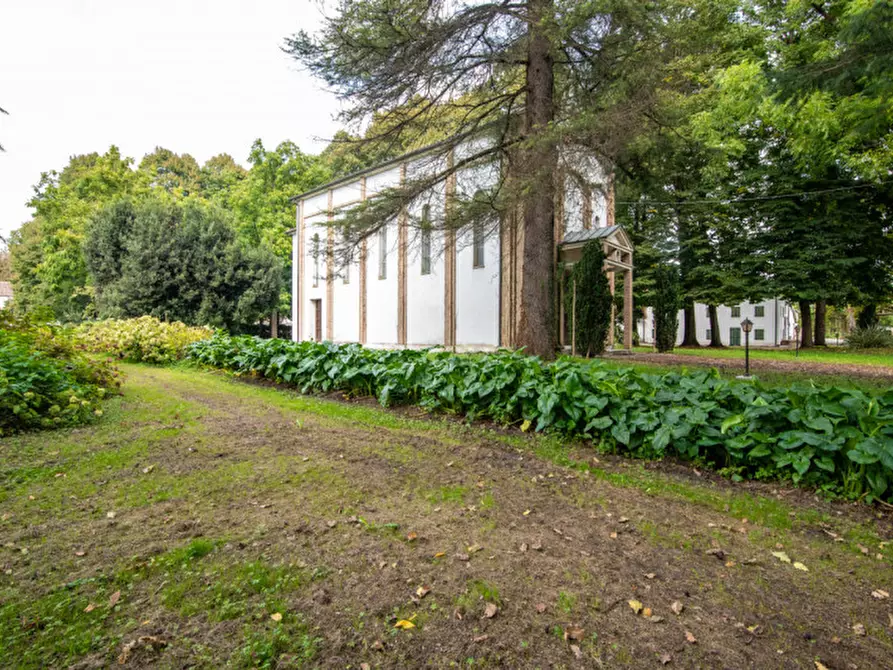 Immagine 5 di Rustico / casale in vendita  in Via Lobia a San Giorgio In Bosco