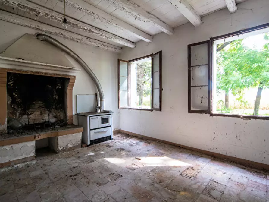 Immagine 6 di Rustico / casale in vendita  in Via Lobia a San Giorgio In Bosco