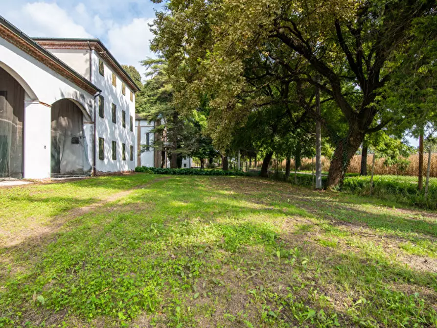 Immagine 7 di Rustico / casale in vendita  in Via Lobia a San Giorgio In Bosco