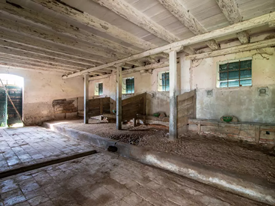 Immagine 11 di Rustico / casale in vendita  in Via Lobia a San Giorgio In Bosco