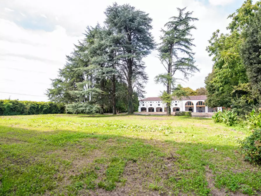 Immagine 14 di Rustico / casale in vendita  in Via Lobia a San Giorgio In Bosco