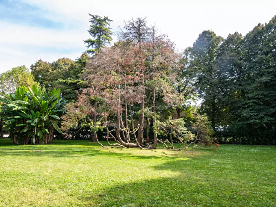 Immagine 18 di Rustico / casale in vendita  in Via Lobia a San Giorgio In Bosco
