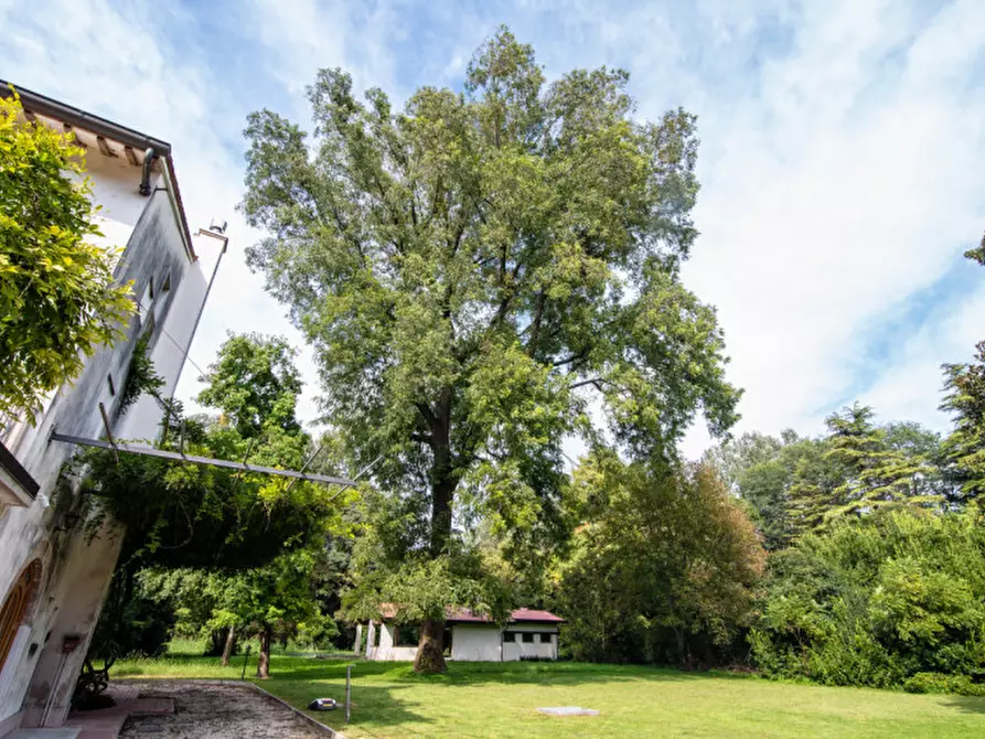 Immagine 19 di Rustico / casale in vendita  in Via Lobia a San Giorgio In Bosco