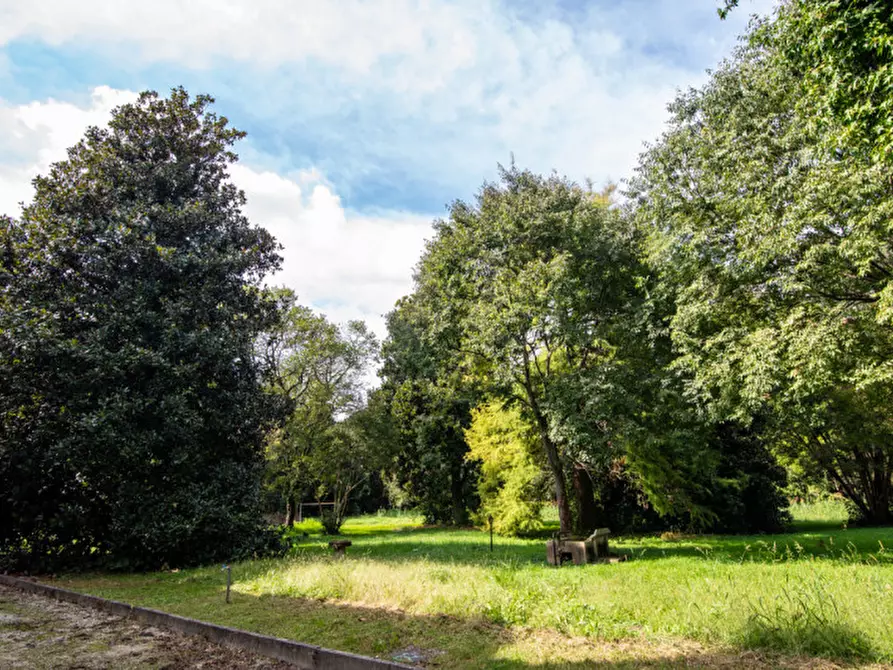 Immagine 20 di Rustico / casale in vendita  in Via Lobia a San Giorgio In Bosco