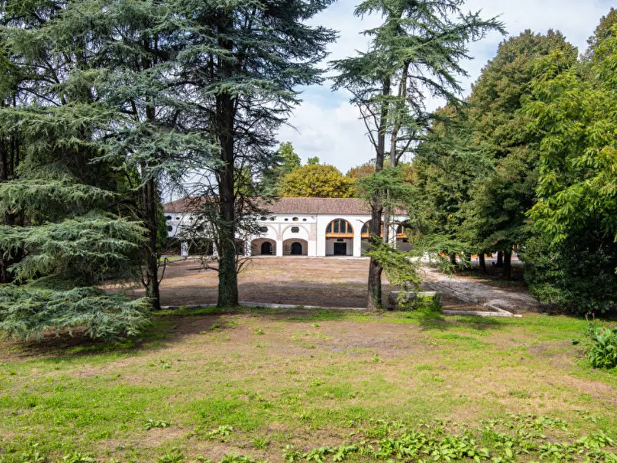 Immagine 23 di Rustico / casale in vendita  in Via Lobia a San Giorgio In Bosco