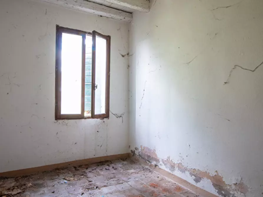 Immagine 27 di Rustico / casale in vendita  in Via Lobia a San Giorgio In Bosco