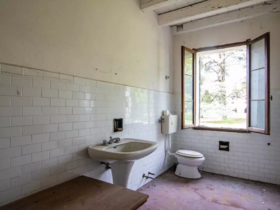 Immagine 28 di Rustico / casale in vendita  in Via Lobia a San Giorgio In Bosco