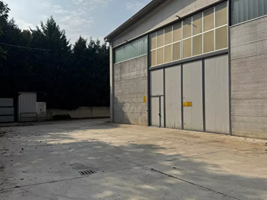 Immagine 5 di Capannone industriale in affitto  in Via Alba Narzole a Grinzane Cavour