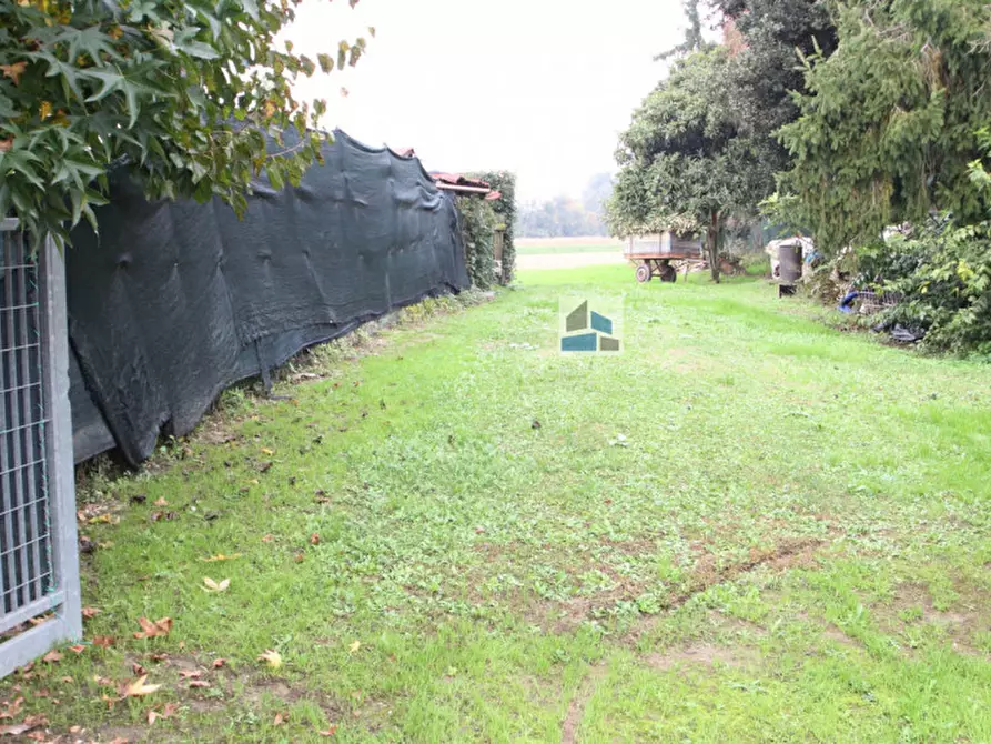 Immagine 6 di Terreno in vendita  in Via Balzana a Santa Maria Di Sala