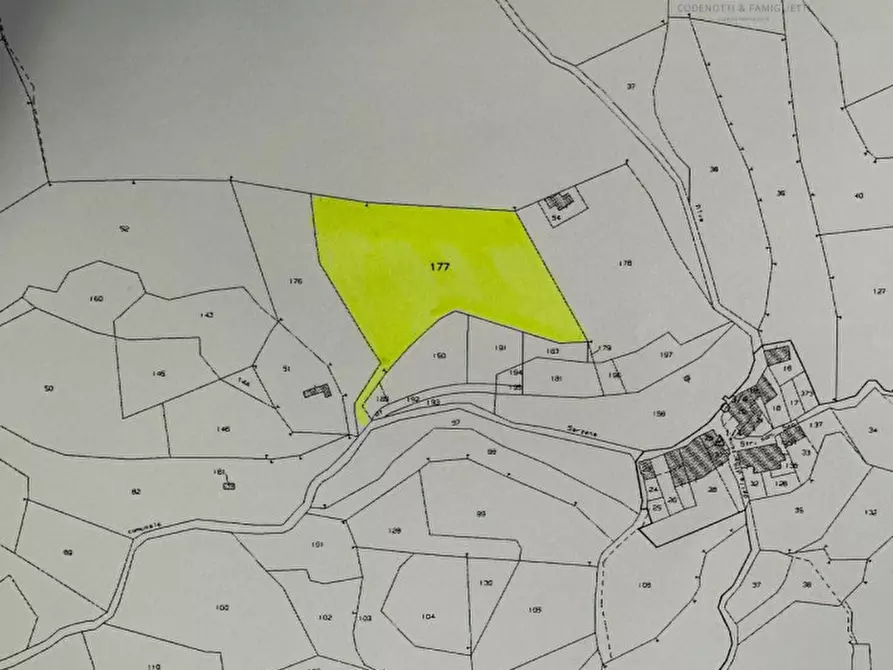 Immagine 3 di Terreno in vendita  in Via Sarzena a Paitone