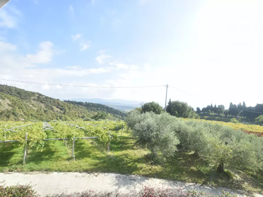 Immagine 38 di Villa in vendita  in VIA CASE SPARSE a Sant'ambrogio Di Valpolicella