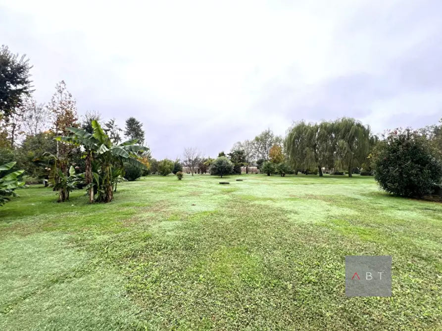 Immagine 2 di Terreno in vendita  a Campo San Martino