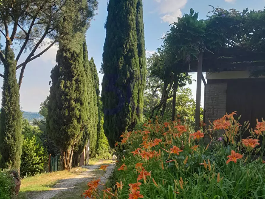 Immagine 1 di Casa indipendente in vendita  in Pieve San Giovanni a Capolona