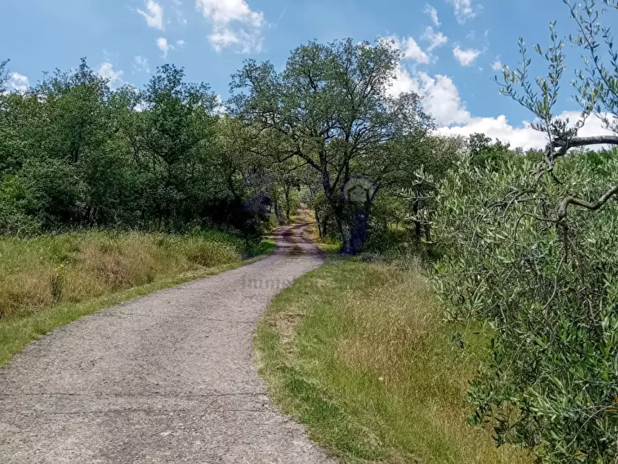 Immagine 4 di Casa indipendente in vendita  in Pieve San Giovanni a Capolona