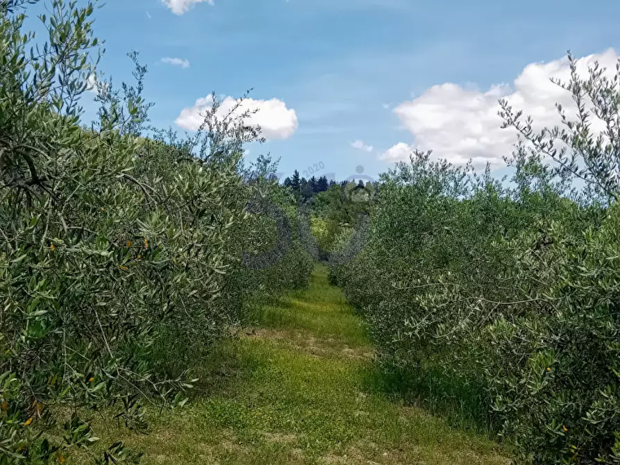 Immagine 6 di Casa indipendente in vendita  in Pieve San Giovanni a Capolona